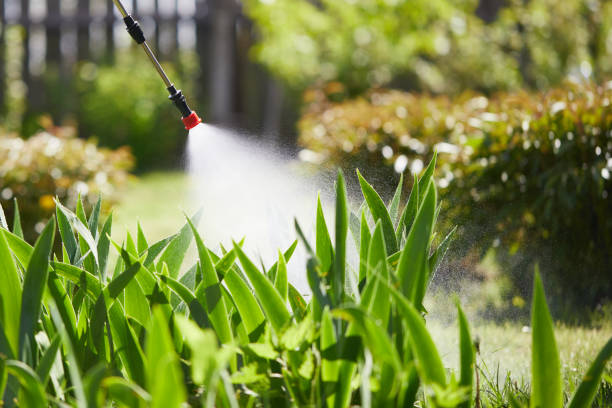 24/7 Emergency Fumigation Services experts in Palmer Lake, CO