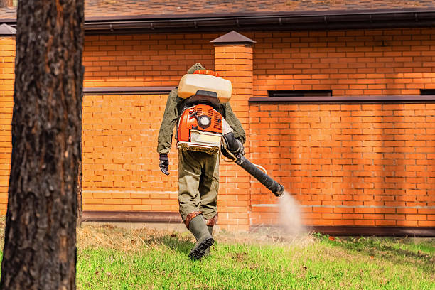 Trusted Emergency Pest Control service in Palmer Lake, CO - Nex Pest Control